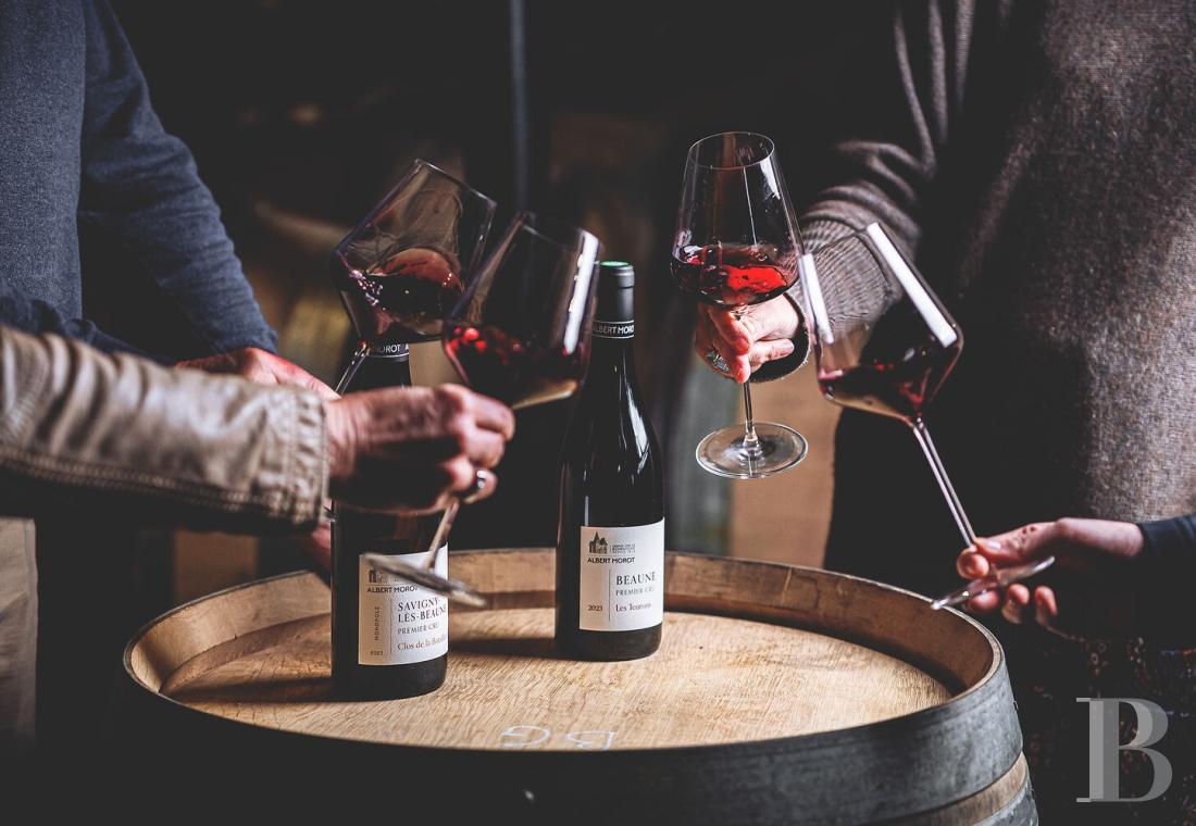 En Bourgogne, à Beaune, un château de la Belle Époque au milieu de ses huit hectares de vignes - photo  n°40